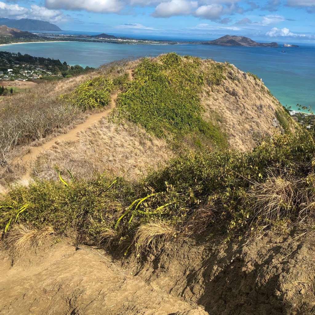 a trail over looking the ocean 