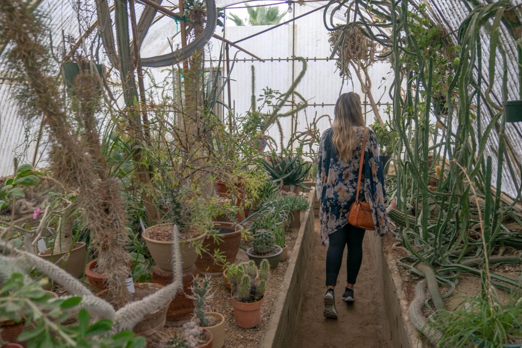 a women walking through a greenhouse