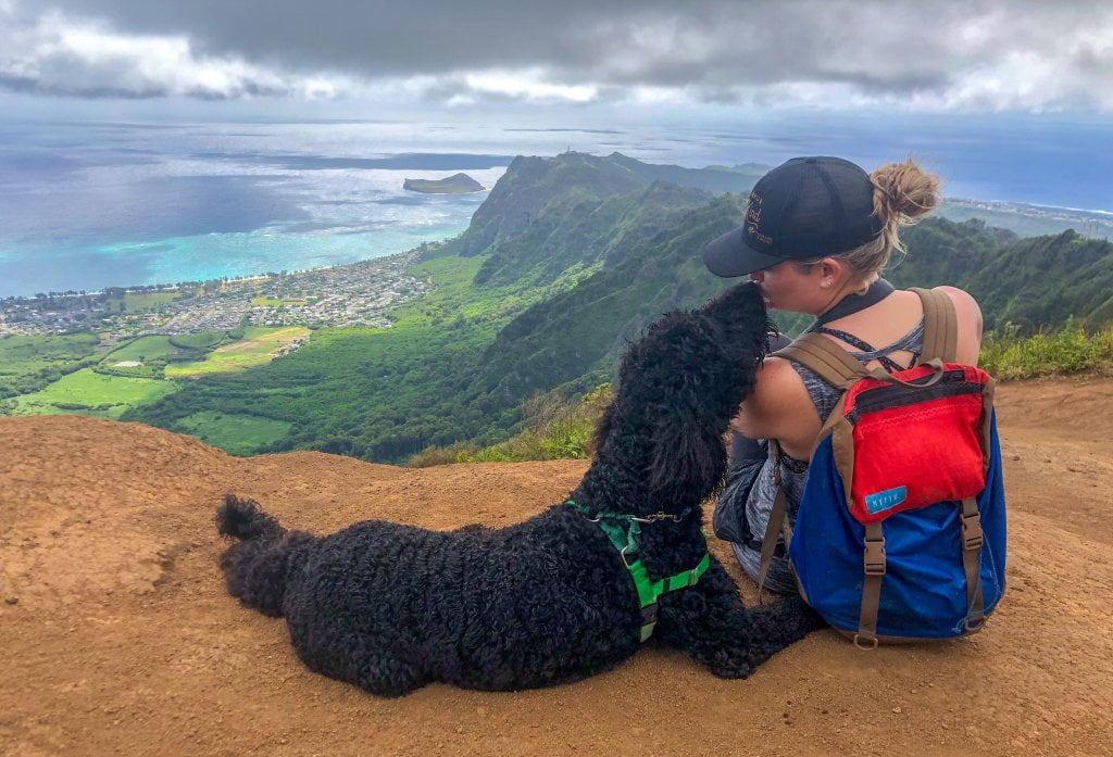 a women and dog sitting on the top of a ridge over looking the ocean in Hawaii