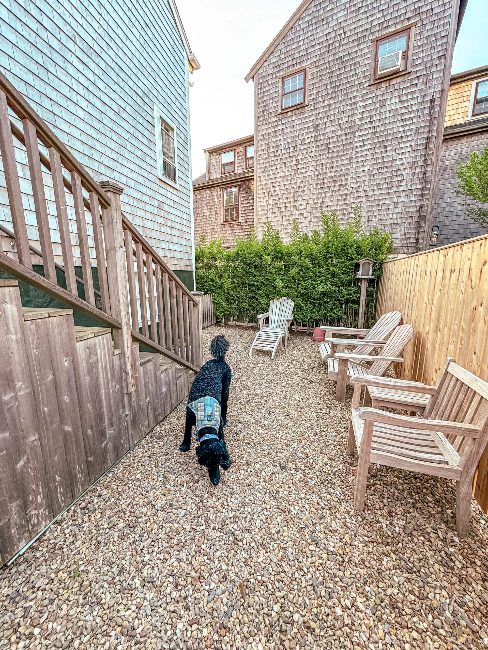 Nantucket Dog Friendly Rentals