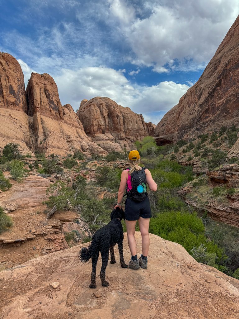 a women hiking with her dog standing next to a cliff 