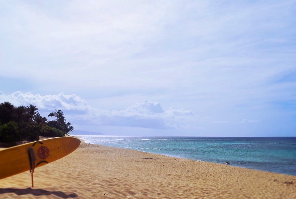 beach on the north shore of Hawaii