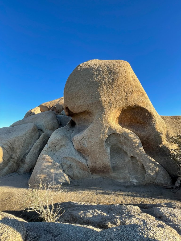 a rock that looks like a skull